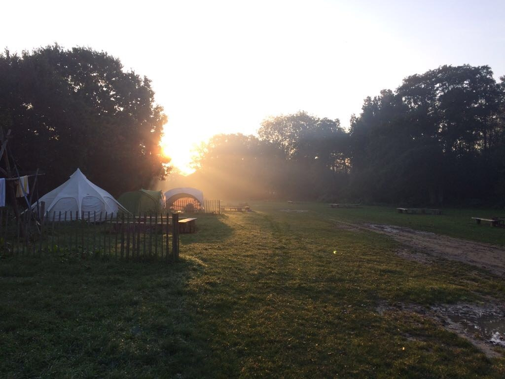 DIARY: Getting back to nature and supporting science.